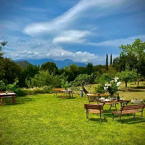  Apartamento Masia Mimosa España